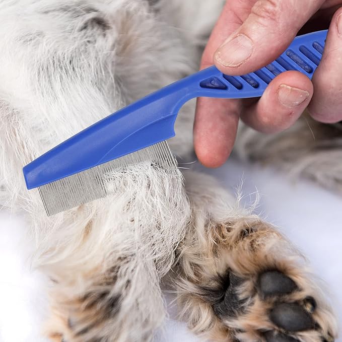 LoveBB 6-Pack Stainless Steel Flea & Lice Combs for Dogs & Cats - Double-Sided Fine Tooth Pet Grooming Comb for Tear Stain Removal & Dematting (Blue)