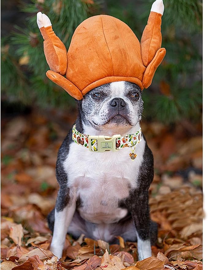 Lionheart glory Turkey Dog Collar, Thanksgining Day Dogs Collar Adjustable Soft Comfortable Collars for Medium Dogs Girl or Boy Pet Gift Fall Cute Collar Quick Release Plastic Buckle