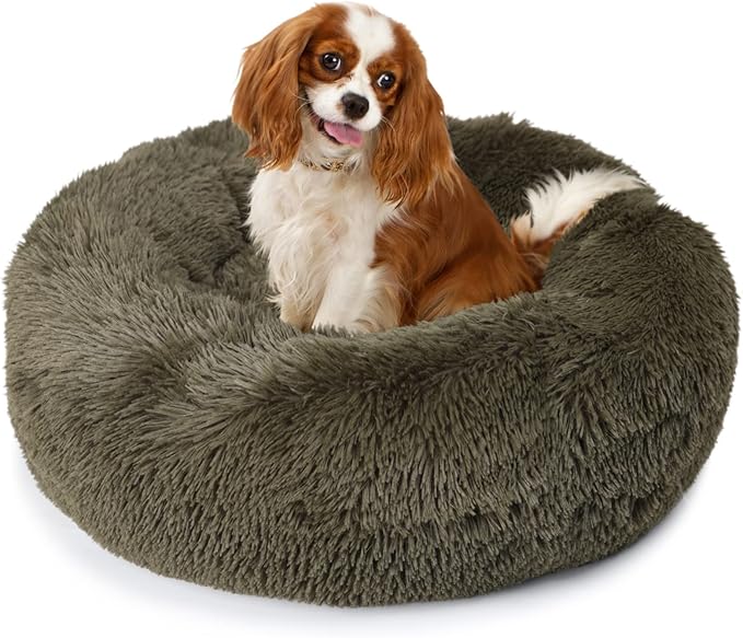 Puppy Bed for Calming Dog 23 Inches Green Anti-Anxiety Donut Dog Bed for Small Medium Dogs Washable Fuzzy Dog Bed Fits up to 15 lbs Pets Beds for Small Dog