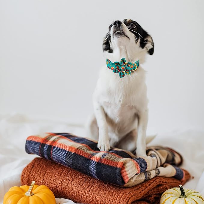 MR. CHUBBYFACE Thanksgiving Dog Collar Fall Maple and Turkey Flower Dog Collar Adjustable Dog Collar with Flower for Small Medium Large Dogs
