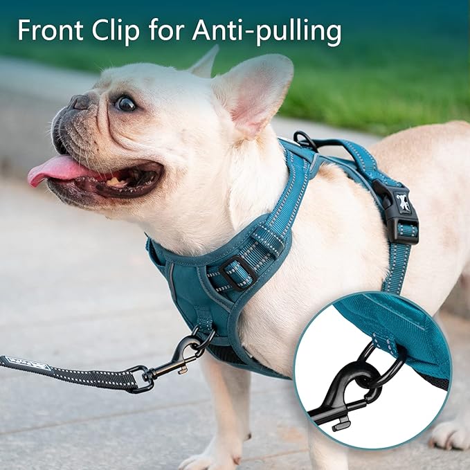 PoyPet No Pull Dog Harness, No Choke Reflective Dog Vest, Adjustable Pet Harnesses with 2 Leash Attachments with Easy Control Padded Handle for Small Medium Large Dogs(Tumalo Teal,XL)
