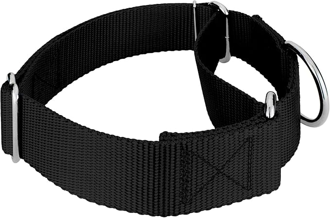 Country Brook Petz 1 1/2 Inch Martingale Heavy Duty Nylon Adjustable Dog Collar for Small, Medium, Large Breeds - Vibrant 17 Color Selection (Black, Medium)