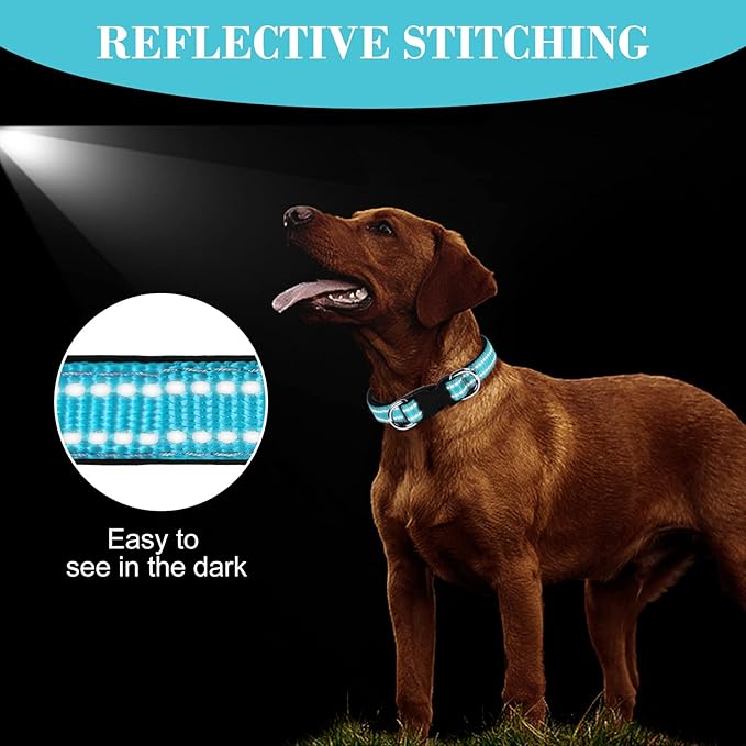 AUAUY Reflective Nylon Dog Collars, Adjustable Classic Pet Collars with Soft Neoprene Padding, Double Security Dual D-Ring and Quick Release Buckle for Small Puppy, Medium and Large Dogs (Lake Blue-L)