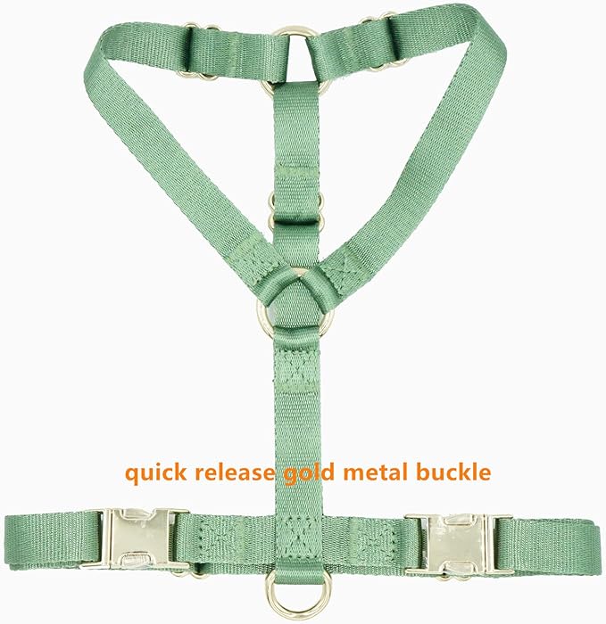 Nylon No Pull Dog Harness with Gold Metal Buckles,Easy Walking and Training Dog Harness (Sage Green, L)