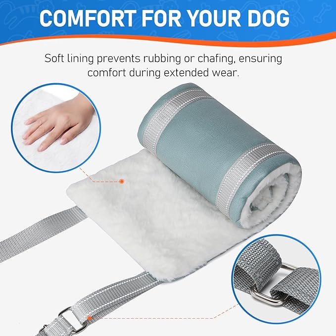 Dog Lift Harness for Medium Dogs, Adjustable Dog Sling for Back Legs, Hip Support Harness to Help Lift Dogs Rear for Canine Aid and Old K9 Cruciate Ligament Rehabilitation - Medium, Blue