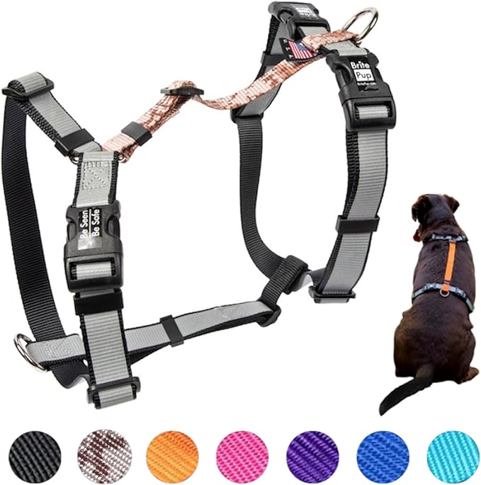 No Pull Harness with Fully Customizable Fitment for XS Dogs - 3M Reflective Heavy Duty Harness for Walking & Training - No Choke Comfortable Collar Design, Made in USA XS-Camo