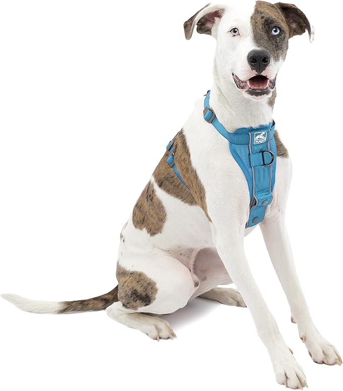 Kurgo Tru-Fit Smart Harness, Dog Harness, Pet Walking Harness, Quick Release Buckles, Front D-Ring for No Pull Training, Includes Dog Seat Belt Tether (Blue, Medium)