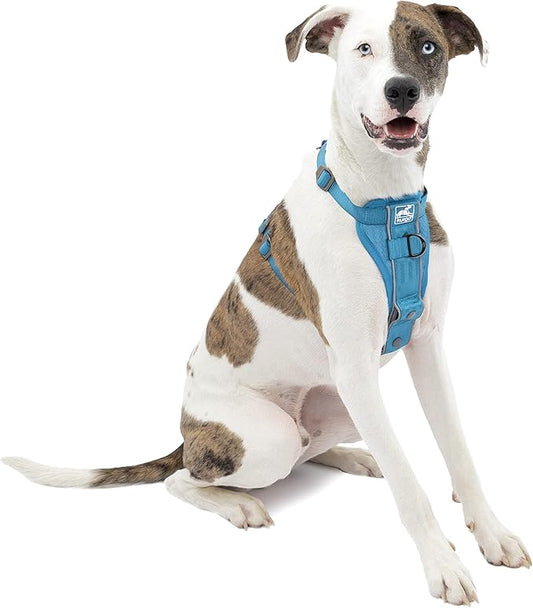 Kurgo Tru-Fit Smart Harness, Dog Harness, Pet Walking Harness, Quick Release Buckles, Front D-Ring for No Pull Training, Includes Dog Seat Belt Tether (Blue, Medium)