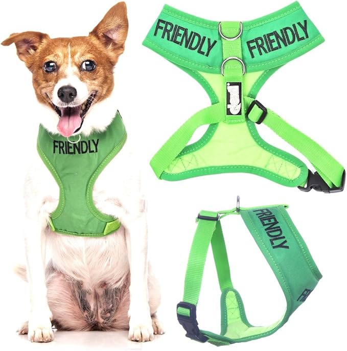 Friendly (Known as Friendly to All) Green Colour Coded Non-Pull Front and Back D Ring Padded and Waterproof Vest Dog Harness Prevents Accidents by Warning Others of Your Dog in Advance (S)