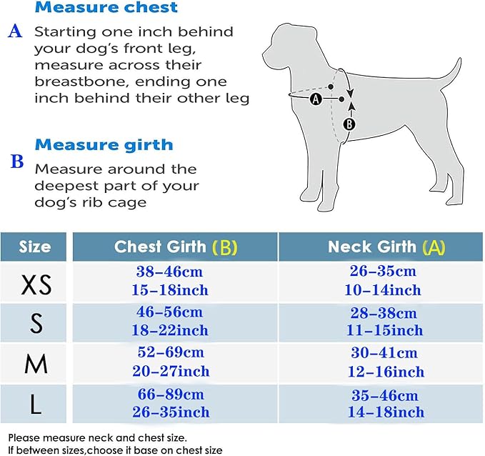 No Pull Dog Harness for Small, Medium, and Large Pets - Floral Pattern Nylon Safety Training Dog Harness (S, Fireworks)