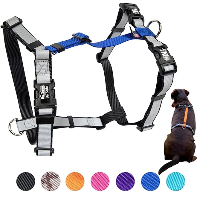 No Pull Harness with Fully Customizable Fitment for XS Dogs - 3M Reflective Heavy Duty Harness for Walking & Training - No Choke Comfortable Collar Design, Made in USA XS-Roy Blue