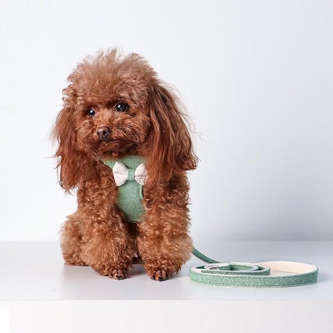 Beirui Small Dog Harness and Leash Set, Soft Lightweight Puppy Harness, Adjustable Bow Tie Puppy Harness for Small Dogs (Green, S)