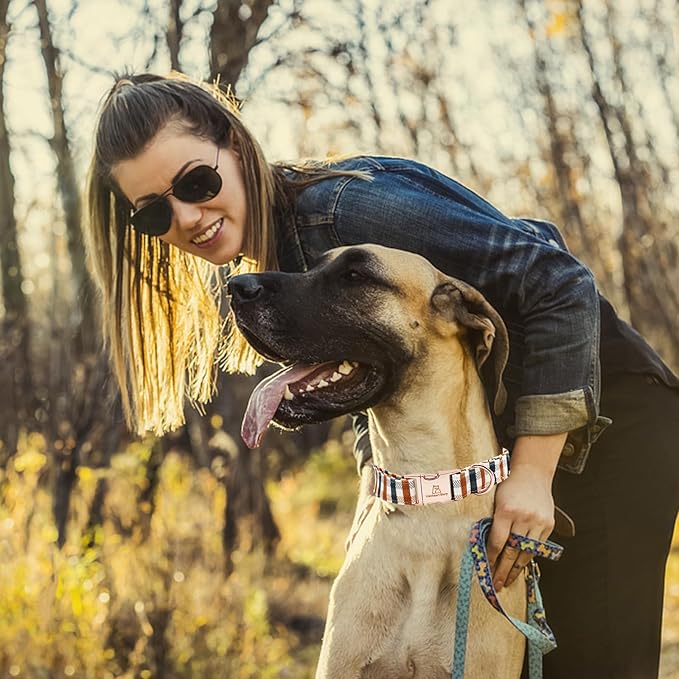 Lionheart glory Plaid Dog Collars Fall Dog Collar Heavy Duty Adjustable Dog Collar for Medium Collar Dog Female or Male Dog Collar