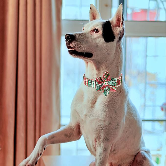 MR. CHUBBYFACE Christmas Plaid Flower Dog Collar for Boy Girl Dogs Adjustable Red Green Dog Collar with Flower for Small Medium Large Dogs