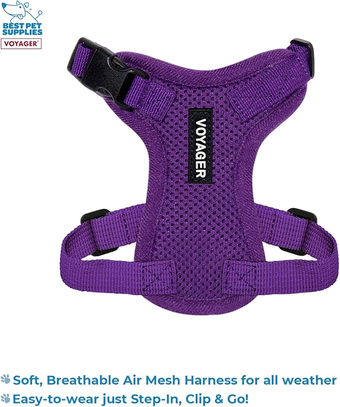 Voyager Step-in Lock Adjustable Cat Harness w. Cat Leash Combo Set with Neoprene Handle 5ft - Supports Small, Medium and Large Breed Cats by Best Pet Supplies - Purple, XXS