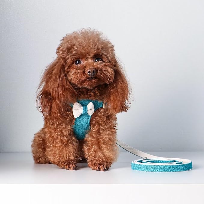 Beirui Small Dog Harness and Leash Set, Soft Lightweight Puppy Harness, Adjustable Bow Tie Puppy Harness for Medium Dogs (Blue, M)