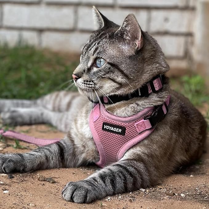 Voyager Step-in Lock Dog Harness w Reflective Dog Leash Combo Set with Neoprene Handle 5ft - Supports Small, Medium and Large Breed Puppies/Cats by Best Pet Supplies - Pink, L