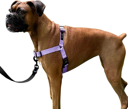 ShawnCo Dream Walk No-Pull Dog Harness- Adjustable, Comfortable, Easy to Use Pet Halter to Help Stop Pulling for Small, Medium and Large Dogs (ICY Lilac, L)