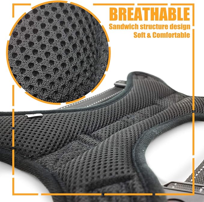 No Pull Dog Harness, Breathable Adjustable Comfort, Free Leash Included, for Small Medium Large Dog, Best for Training Walking Green XS