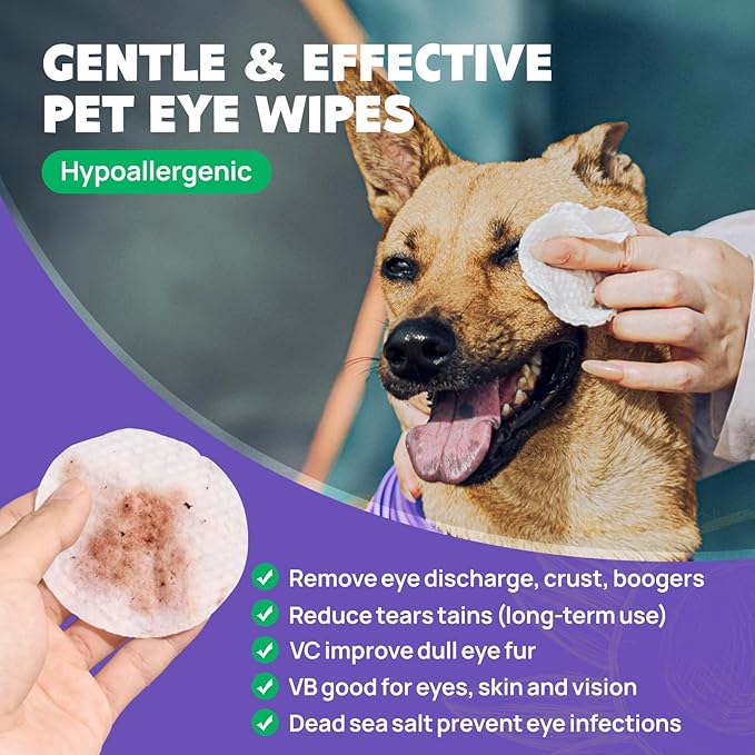 Eyes Wipes for Dogs and Cats - Gently Remove Tear Stain, Eye Debris, Discharge, Mucus Secretions - Coconut Oil Pet Cleaning Grooming Deodorizing Wipes for Eyes, Wrinkle, Face - Honey Scent (100 pcs)