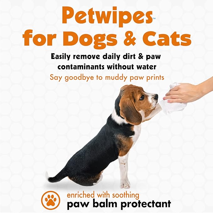 Petkin Big N' Thick Paw Wipes for Dogs, 100 Large Wipes - Clean Dirty Paws After Muddy Walks, with Paw Balm Protectant - Keep Floors and Furniture Clean - Ideal for Home or Travel - Orange Scent