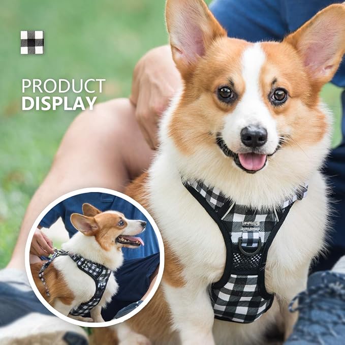 PoyPet No Pull Dog Harness, [Neck Release] Reflective Adjustable No Choke Pet Vest with Front & Back 2 Leash Attachments, Soft Control Training Handle for Small Dogs(Grid,S)