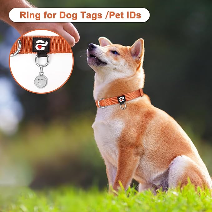 azuza 3 Pack Fall Dog Collars Comfortable and Adjustable Nylon Dog Collars for Puppy Small Dogs, XS (8-12inch)，Ginger Yellow, Rust Orange and Latte Brown