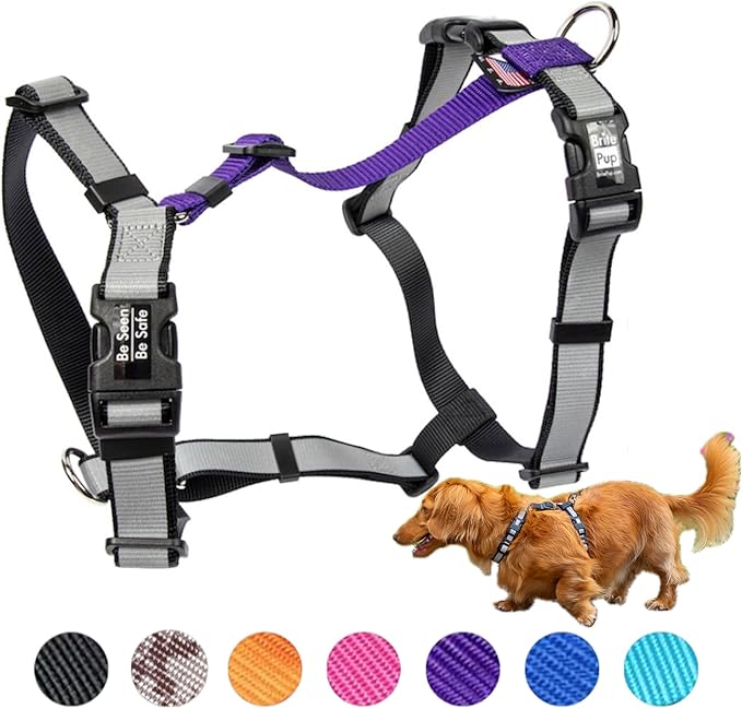 No Pull Harness with Fully Customizable Fitment for XS Dogs - 3M Reflective Heavy Duty Harness for Walking & Training - No Choke Comfortable Collar Design, Made in USA XS-Purple