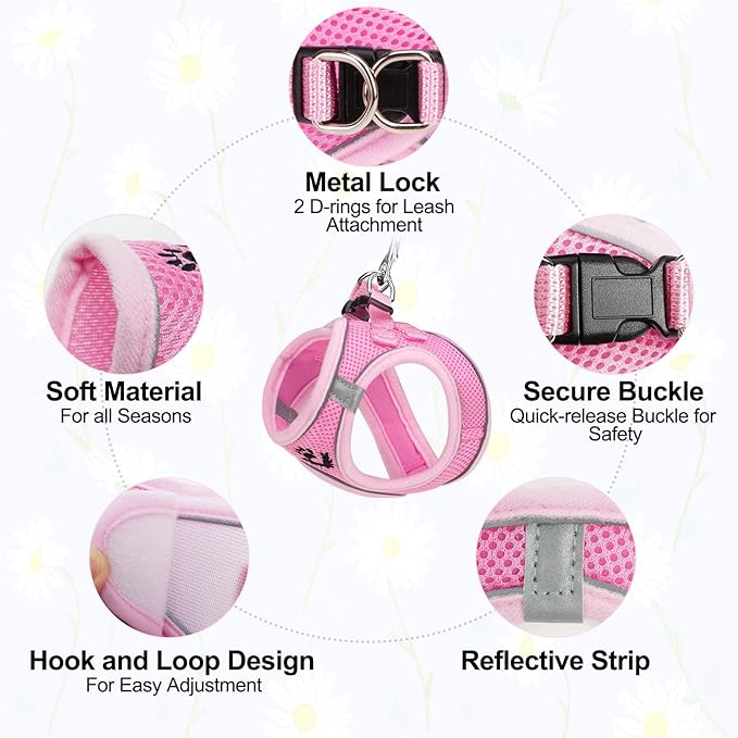 BEAUTYZOO Step in Dog Harness and Leash Set, Reflective Dog Harness No Pull No Choke Puppy Cat Harness Adjustable for XXS XS S Dogs Cats, Soft Padded Mesh Vest Harnesses for Girl and Boy Pets