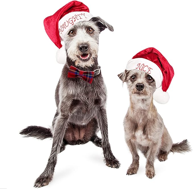 Dog Bow Ties, SJANE 50 Pcs Delicate Multiple Styles & Colors Dog Collar Attachment Bowties for Pet Collar Accessories Bowties for Christmas Parties Wedding Birthday Special Occasions