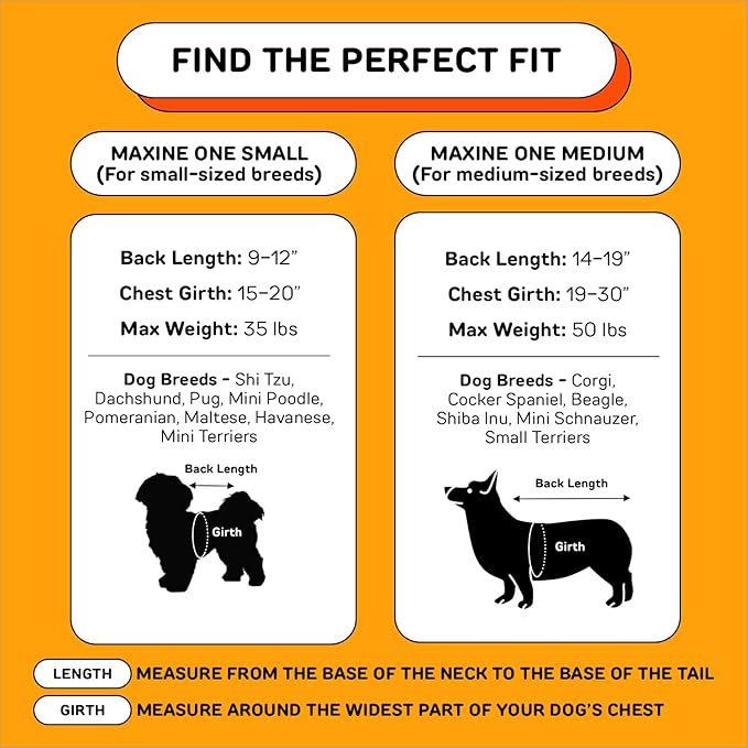 The Maxine One Small Dog Carrier Dog Backpack Carrier for Small Sized Breeds | Adjustable Front Facing Pet Carrier for Travel | Dog Hiking Backpack - Chonkcrete Gray