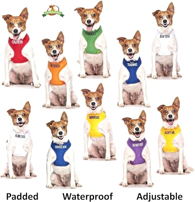 Limited DO NOT PET Red Color Coded Non-Pull Front and Back D Ring Padded and Waterproof Vest Dog Harness Prevents Accidents by Warning Others of Your Dog in Advance (S)