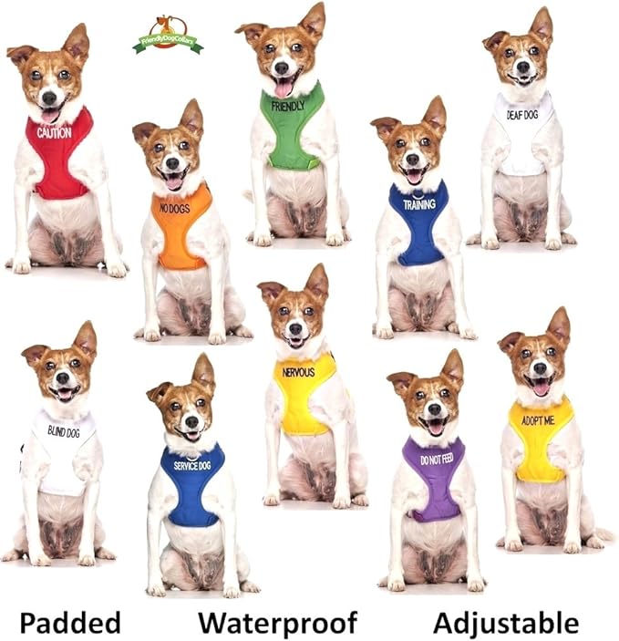 Limited DO NOT PET Red Color Coded Non-Pull Front and Back D Ring Padded and Waterproof Vest Dog Harness Prevents Accidents by Warning Others of Your Dog in Advance (M)