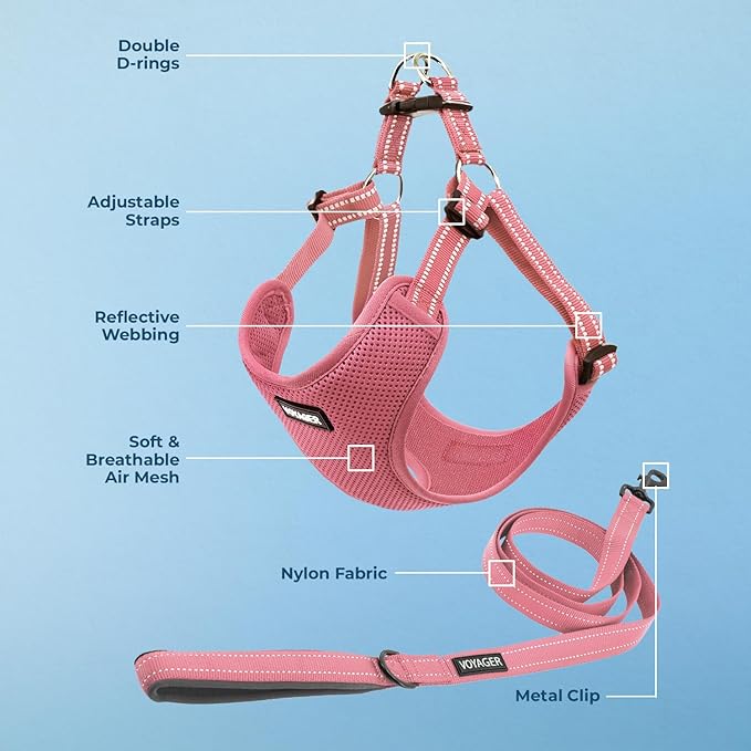 Best Pet Supplies Voyager Adjustable Dog Harness Leash Set with Reflective Stripes for Walking Heavy-Duty Full Body No Pull Vest with Leash D-Ring, Breathable All-Weather - Harness (Pink), S
