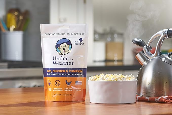 Under the Weather Bland Diet for Dogs | Easy to Digest for Sick Dogs |Always Be Ready | Contains Electrolytes - All Natural Freeze Dried 100% Human Grade Meats | 1 Pack - Rice, Chicken & Pumpkin - 6oz