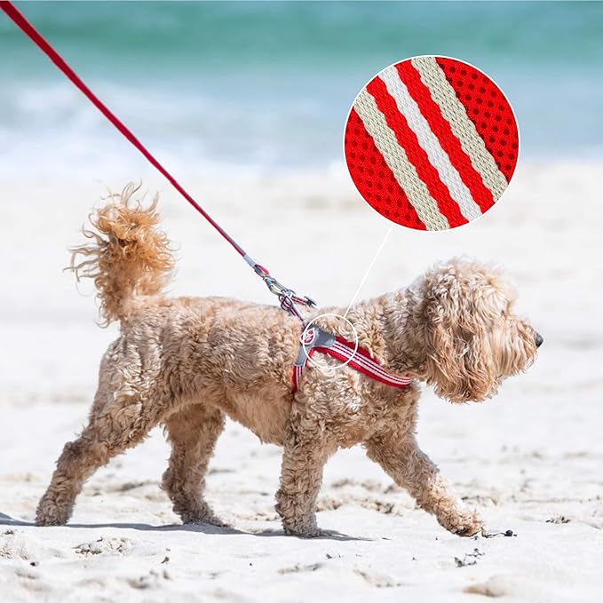 HUGO & HUDSON Easy Walk Dog Harness, Adjustable Quick Dry No-Pull Pet Harness, Red, Size 2