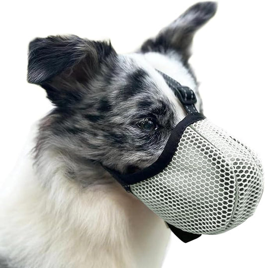 Large Dog Muzzle, Muzzle for Large Dogs to Prevent Eating/Chewing/Biting, Breathable Reflective Adjustable Medium Dog Accessories Dog Muzzle (Green, S)