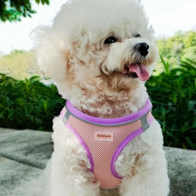 Soft Mesh Dog Harness and Leash Set, No-Chock Step-in Reflective Breathable Lightweight Easy Walk Escape Proof Vest Harnesses with Safety Buckle for Small Medium Dogs, Cats (Purple, XLarge)