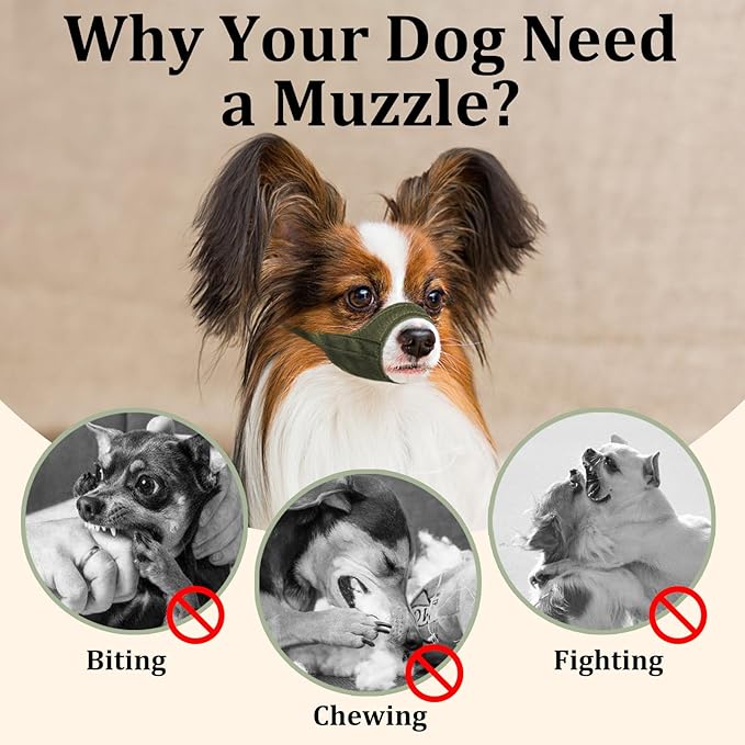 Mayerzon Short Snout Dog Muzzle, Small Muzzle for Chihuahua Shih Tzu American Bully Boxer Puppy, Soft Fabric Muzzles for Grooming Vet Visits