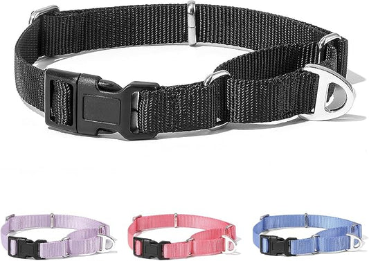 Rttochfy Martingale Dog Collars, Adjustable Nylon Dog Collar with Quick Release Buckle, No Choke Dog Training Collar for Small Medium Large Dogs (Black, M)