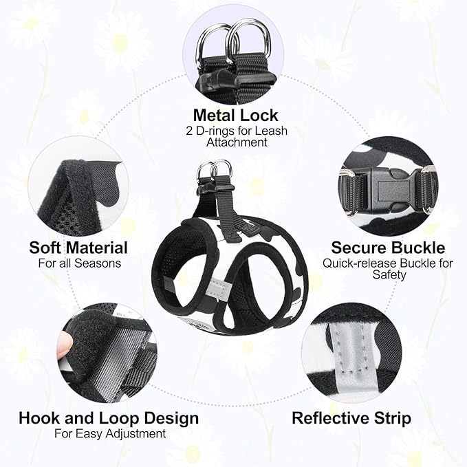 BEAUTYZOO Step in Dog Harness and Leash Set, Floral Pattern Reflective Dog Harness No Pull No Choke Puppy Harness for XXS XS S Dogs Cats, Soft Padded Mesh Vest Harnesses for Girl and Boy Pets