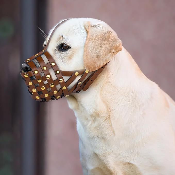 OOPSDOGGY Labrador Dog Muzzle for Large Dogs - Leather Breathable Secure Basket Muzzle for Large Breeds Retriever Prevents Biting No Chewing Adjustable (Brown, Size 6 - Labrador Retriever)