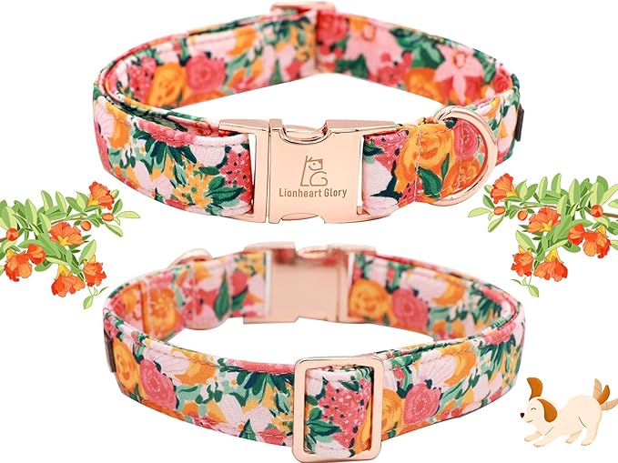 Lionheart glory Premium Floral Dog Collars Spring Dog Collar, Adjustable Heavy Duty Girl Dog Collar for Large Dogs
