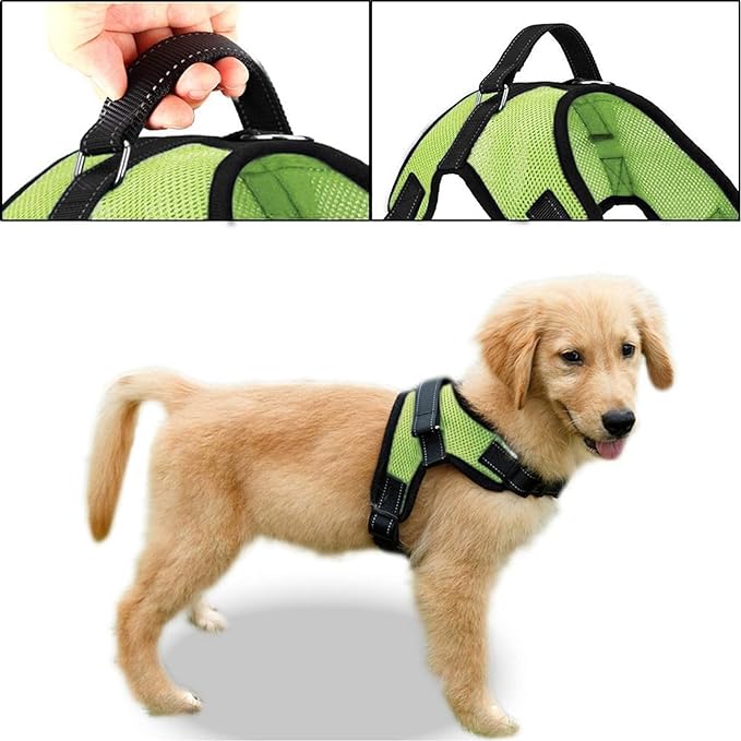 No Pull Reflective Adjustable Dog Harness With Handle- Comfortable Soft All Weather Mesh, Easy On Puppy Harness For Small Medium and Large Dogs (Green) X-Large