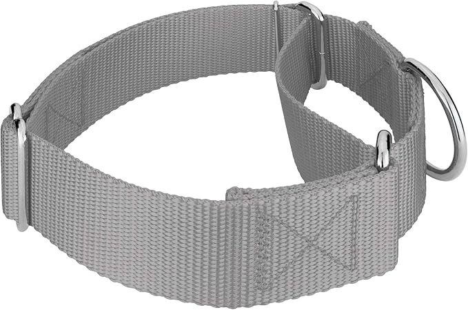 Country Brook Petz 1 1/2 Inch Martingale Heavy Duty Nylon Adjustable Dog Collar for Small, Medium, Large Breeds - Vibrant 17 Color Selection (Silver, Large)