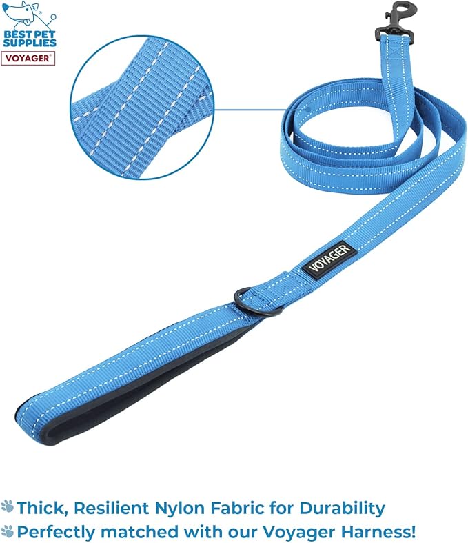 Voyager Step-in Lock Adjustable Cat Harness w. Cat Leash Combo Set with Neoprene Handle 5ft - Supports Small, Medium and Large Breed Cats by Best Pet Supplies - Baby Blue/Black Trim, XXS