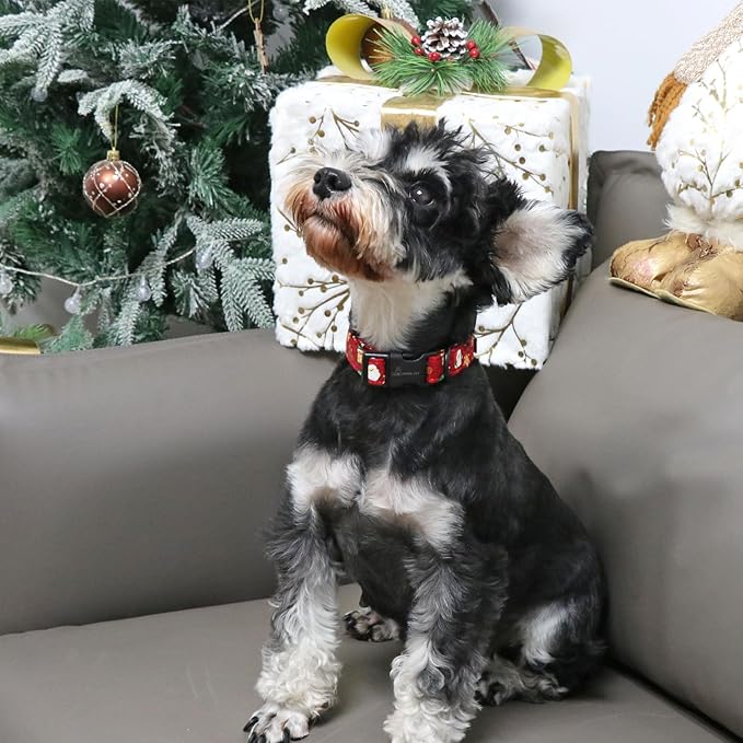 ARING PET Christmas Dog Collar Cute Santa Claus Dog Collar, Adjustable Cotton Red Dog Collars Puppy Collar for Small Medium Large Boy and Girl Dogs