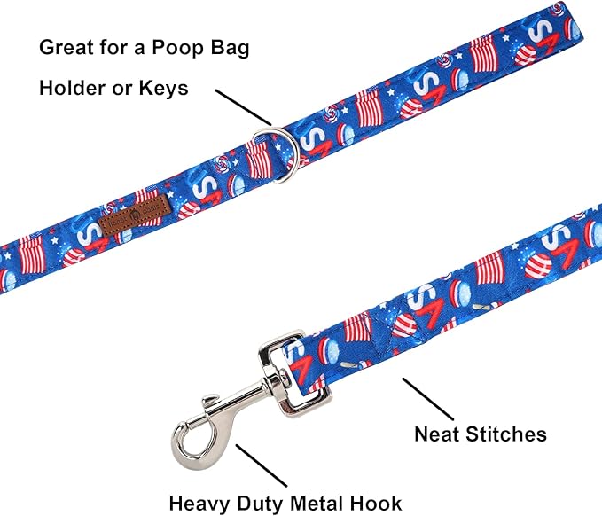 Lionet Paws Patriotic 4th of July American Flag Dog Leash Matching Dog Collar for Small Medium Large Dog