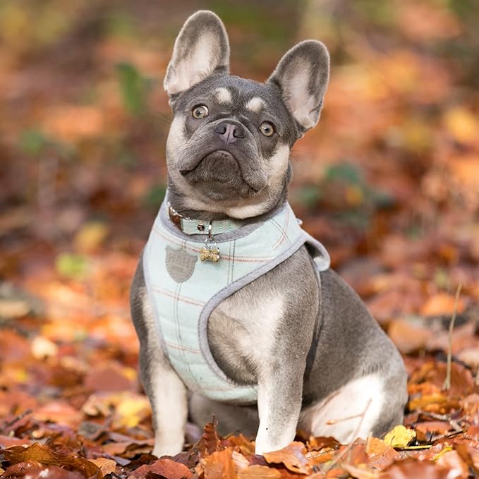 HUGO & HUDSON Dog Harness, No-Pull Anti Choke Tweed Harness Vest, Aqua Checkered, L
