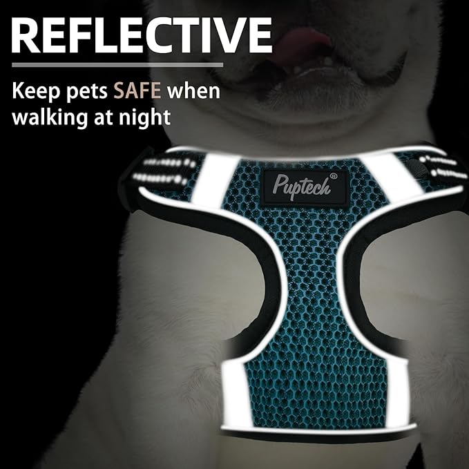 PUPTECK No Pull Dog Harness and Leash Set Reflective No Choke Step in Puppy Halter for XS Small and Medium Sized Dogs, Turquoise, Breathable Mesh, S